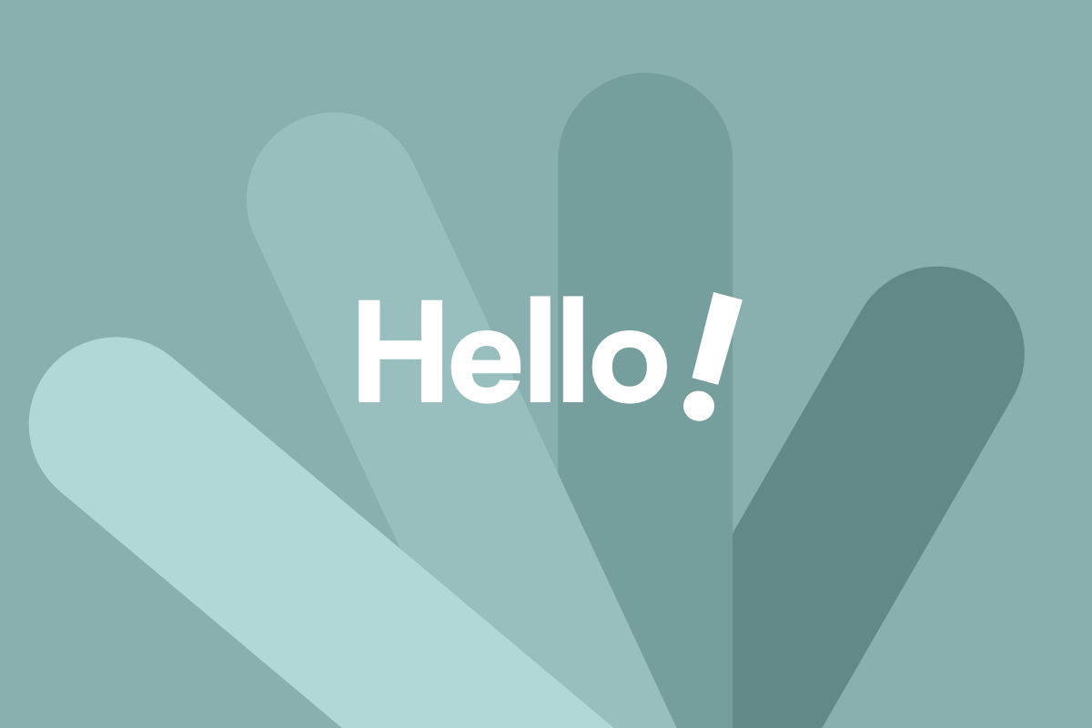 It's time to say Hello to Essentials theme | netstudios Africa